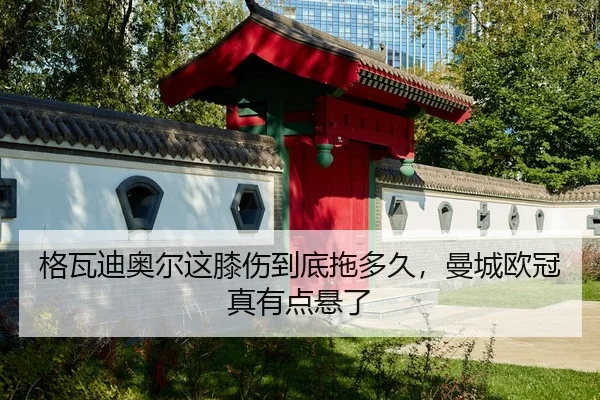 格瓦迪奥尔这膝伤到底拖多久，曼城欧冠真有点悬了